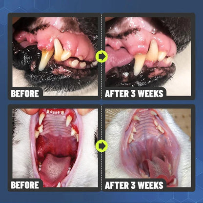 🔥SALE WITH 49% DISCOUNT🔥Teeth Brushing Spray for Dogs and Cats